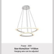 Acrylic Ring Chandelier-Diameters43-25cm-2Rings-Warm White-Re-magined-home_decor