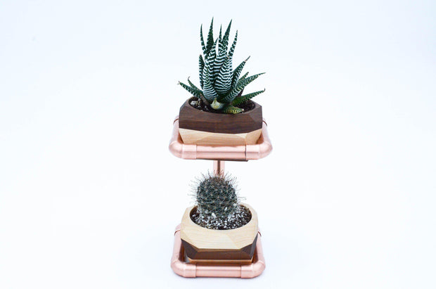 Geometric Double Cactus & Succulent Planter-2 Black w/ White-Re-magined-home_decor
