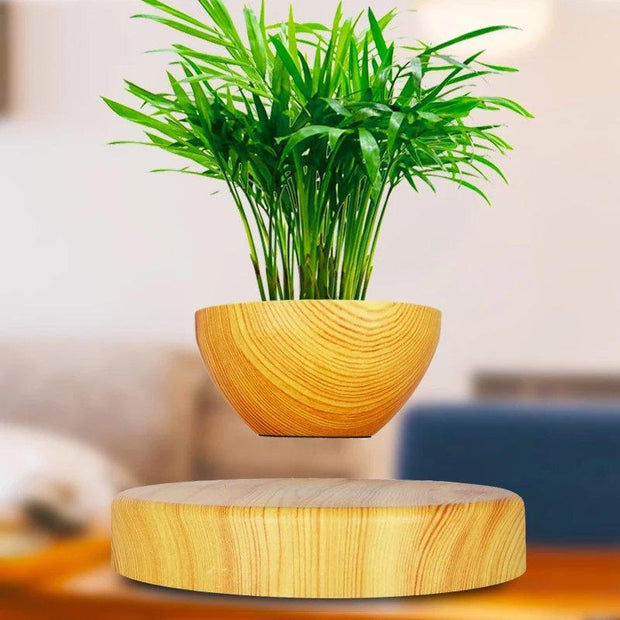 Levitating Plant Holder-Levitating Plant Holder-Re-magined-home_decor