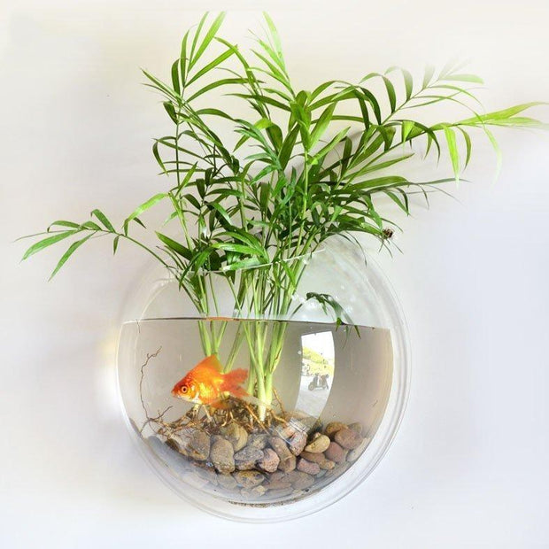 Wall Mounted Fish Bowl-wall mounted fish bowl-Re-magined-home_decor