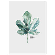 Watercolor Plants Canvas-15x20cm No Frame-Picture 1-Re-magined-home_decor